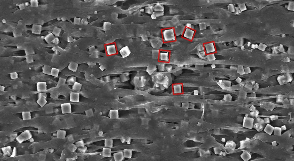 WiseSheet Polymer Desiccant Sheet Electron Microscope